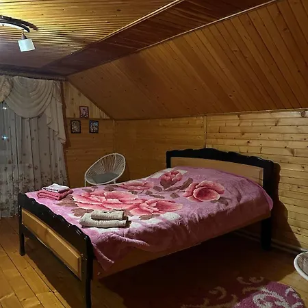 Holiday home під горою Verkhovyna